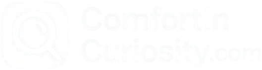 Comfort In Curiosity